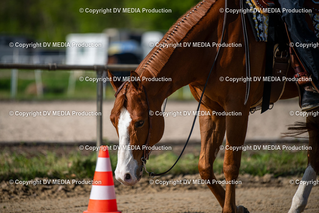 Heiligenwald Tag 2-385 | dv-media-shop - Realisiert mit Pictrs.com