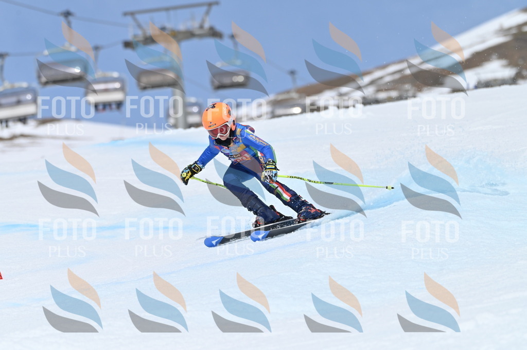 BGV_2608 | holidayphoto