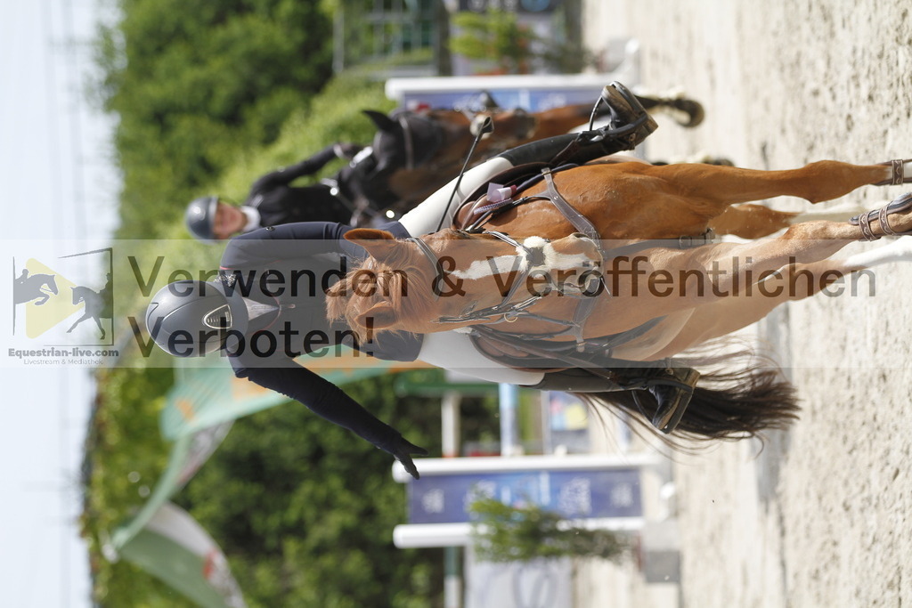 _MG_0069 | equestrian-live-com