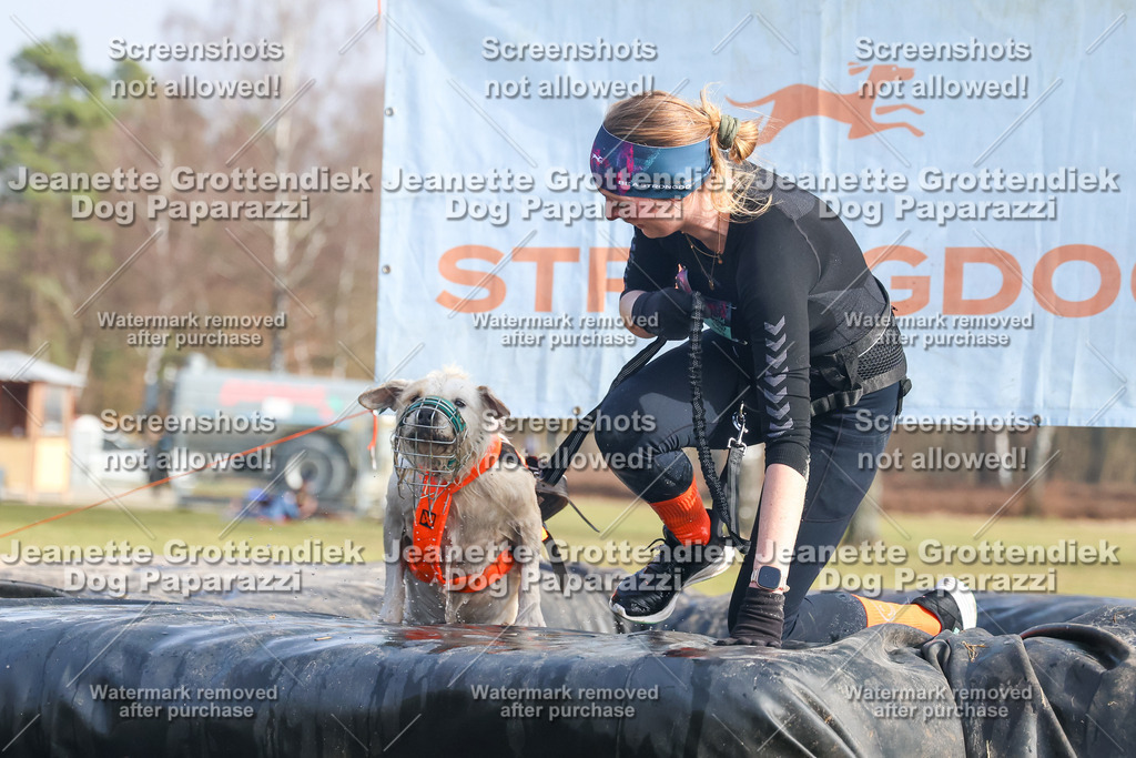 Dog Paparazzi - Strongdog North Mrz26-2259 | Dog Paparazzi Jeanette Grottendiek Fotografie & Videografie - Realisiert mit Pictrs.com