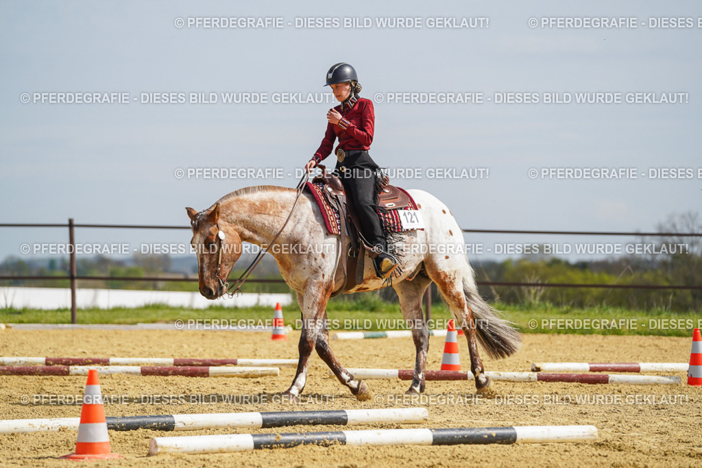 DSC04424 | Pferdegrafie