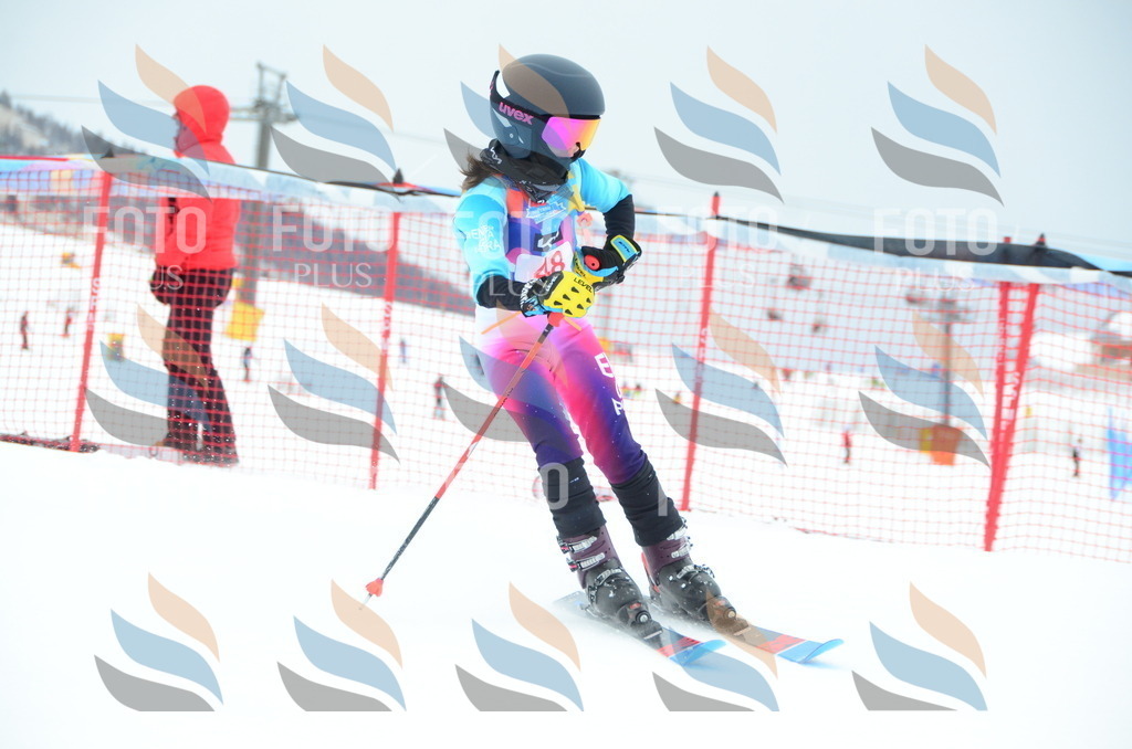 DSC_0951 | holidayphoto