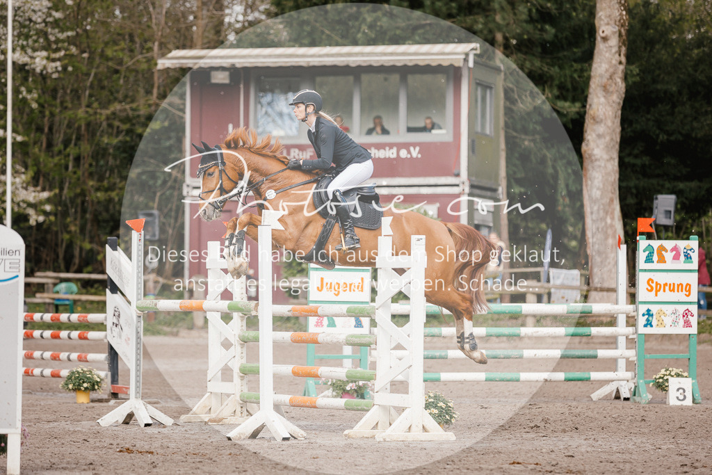 3I6A4358 | Stimmungsvolle Portraits und Reitsportfotografie im Ruhrgebiet und im Münsterland.

Pferdefotografie, Hundefotografie, Tierfotografie, Reportagen, Portraits von Tier und Mensch, Turnierfotografie in Bochum, Recklinghausen, Marl, Haltern am See, Dülmen.. - Realisiert mit Pictrs.com