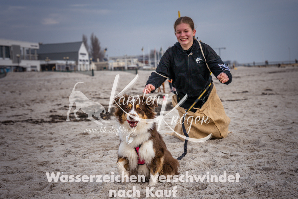 1301_ZZ97806 | kk-dogfotos
