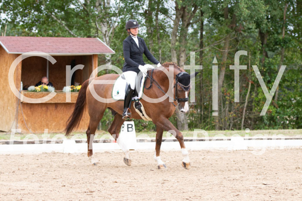 IMG_7222 | Creatify Fotografie