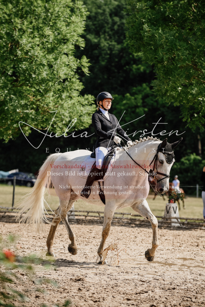 DSC_0370 | Pferde- und Turnierfotografie in Westsachsen. Pferdeportraits, Auftragszeichnungen und intuitive Kunst.