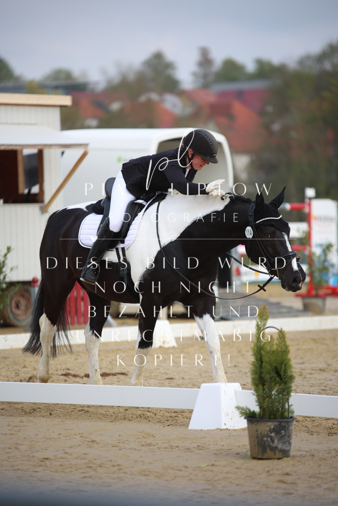 IMGT6530 | pl-fotografie