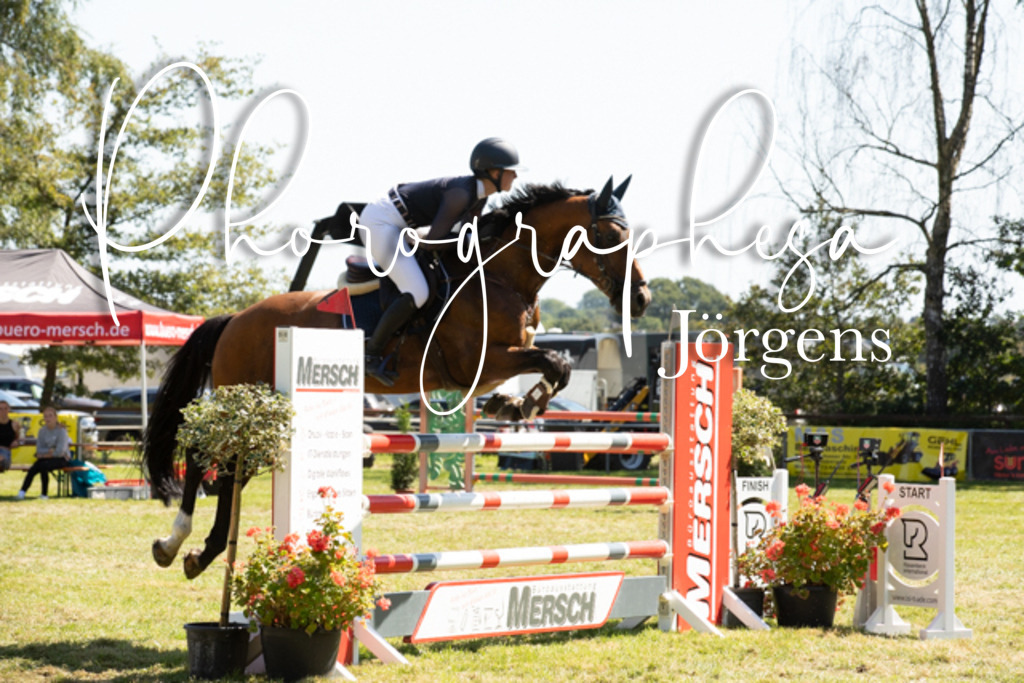 IMG_9103 | photographesa-joergens - Realisiert mit Pictrs.com