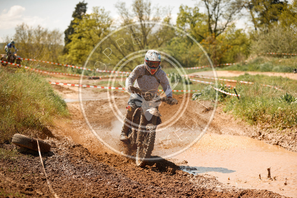 RottlebenIGE25_Lauf2-624 | koppe-media