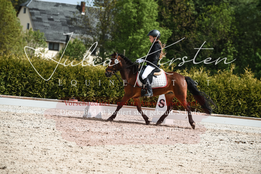20230518_JK-Röhrsdorf-11-0762 | Pferde- und Turnierfotografie in Westsachsen. Pferdeportraits, Auftragszeichnungen und intuitive Kunst.