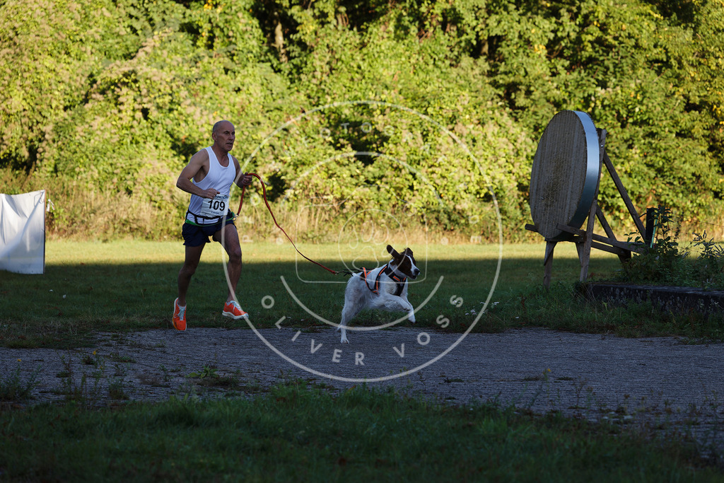 0L8A4637 | Hundefotografie, Tierfotograf, Pfotenfotografie, Fotoshooting Hund, Hunde Portrait, Hundesport, Hundeportraits, Heideshooting, Hunde, Sportfotograf, Hundefotograf, Turnierhundsport, THS,  - Realisiert mit Pictrs.com