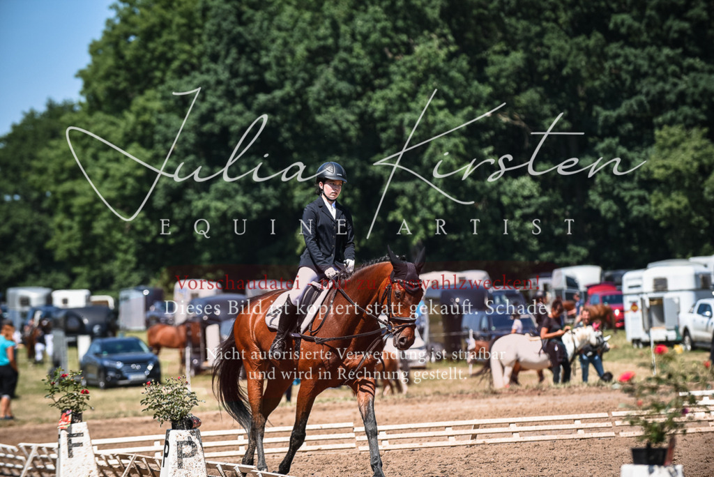 DSC_2742 | Pferde- und Turnierfotografie in Westsachsen. Pferdeportraits, Auftragszeichnungen und intuitive Kunst.