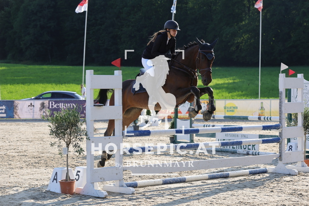 0P6A6898 | Willkommen bei Brunnmayr - Design & Fotografie – Ihrem Spezialisten für Reitturniere und Pferdeveranstaltungen in Oberösterreich, Salzburg und Bayern! Seit über 17 Jahren sind wir leidenschaftlich dabei.