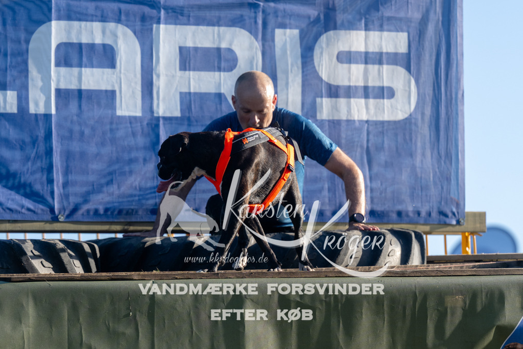 0817_ZZ93094 | kk-dogfotos