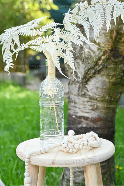 DSC_7861 | Homepage von Tobias Köllner