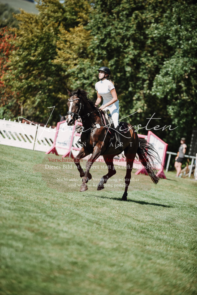 DSC_3142 | Pferde- und Turnierfotografie in Westsachsen. Pferdeportraits, Auftragszeichnungen und intuitive Kunst.