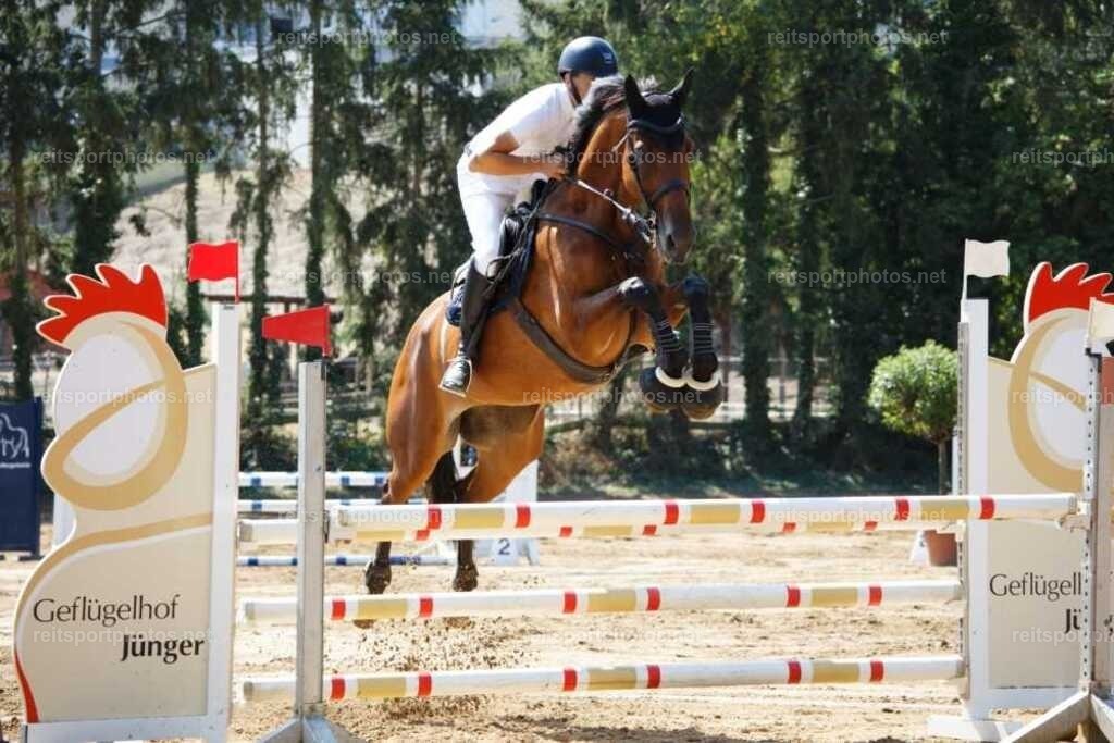 JHE_4939 | JoYa Fotografie - Realisiert mit Pictrs.com
