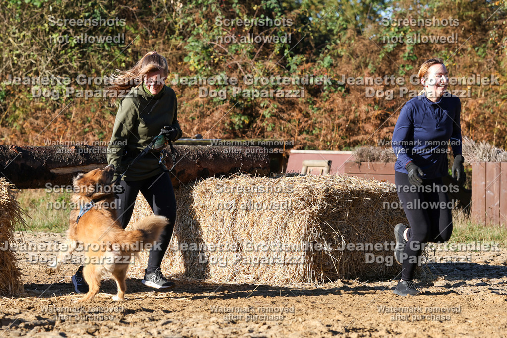 Dog Paparazzi - Strongdog 10-25-1481 | Dog Paparazzi Jeanette Grottendiek Fotografie & Videografie - Realisiert mit Pictrs.com