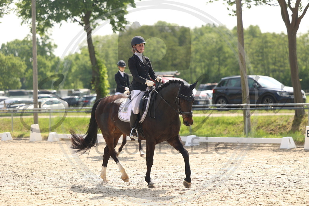 994A6596 | sabrinanicolaifotografie - Realisiert mit Pictrs.com