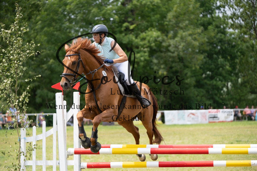 A7V06945 | Pferdefotograf