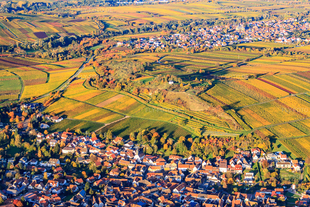 Luftbild: Naturschutzgebiet kleine Kalmit über dem Winzerdorf in Ilbesheim bei Landau im Bundesland Rheinland-Pfalz in Deutschland. Foto: IMG_60603.jpg vom 24.10.2013 durch Werner Riehm/FLY-FOTO.de