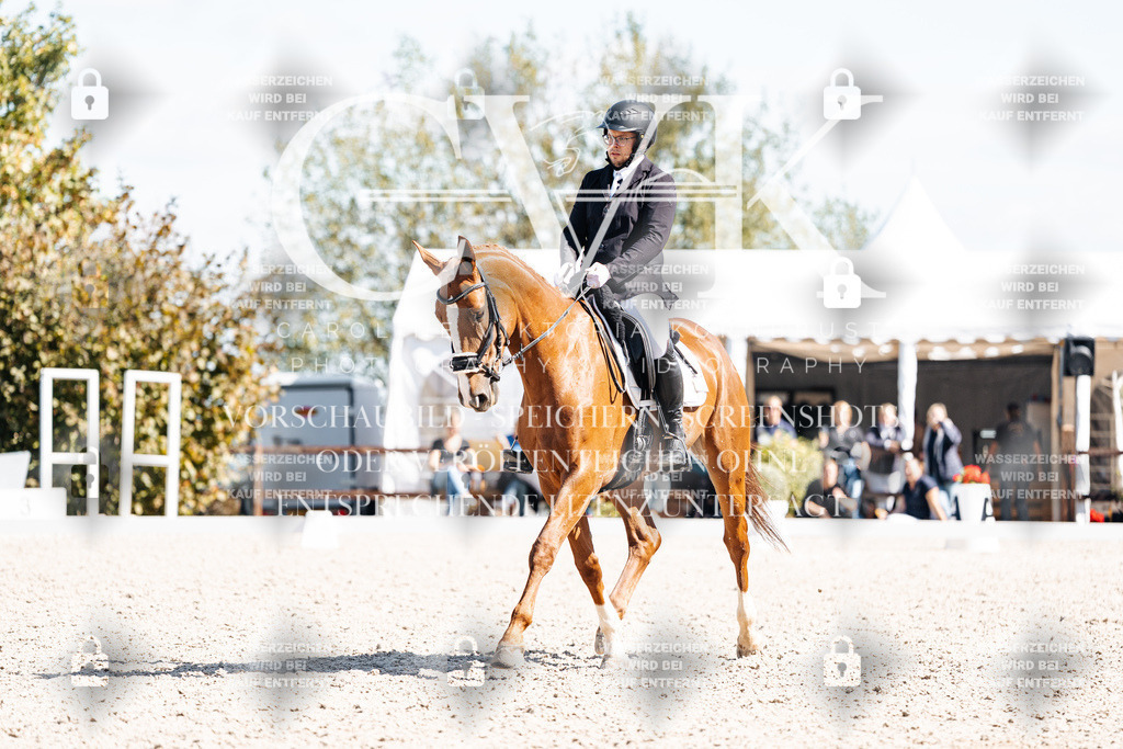 CK903286 | Turnierfotografie Pferdefotografie Trier Rheinland-Pfalz Pferdesport Reitsport Tierfotografie Sportfotografie Pferdevideo Pferdevideografie Equestrianvideography equestrianphotography  - Realisiert mit Pictrs.com