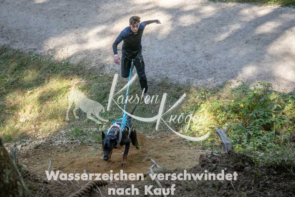 1223_ZZ94291 | kk-dogfotos