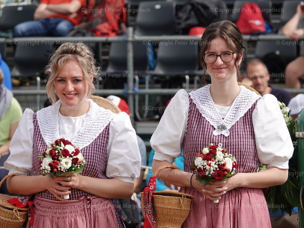 DSC06743 | Schwingen - Realisiert mit Pictrs.com