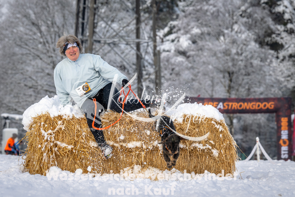 0902_ZZ92934 | kk-dogfotos