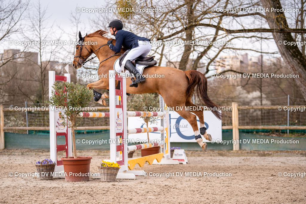 Kranichstein Tag 2-352 | dv-media-shop - Realisiert mit Pictrs.com