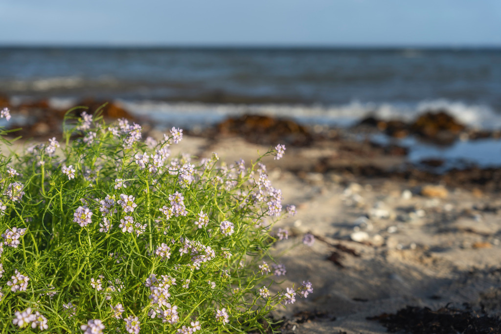 A7402532-Bearbeitet | Landschaftsfotografien und Naturfotografien (Schweiz, Europa) auf Leinwand, Postkarten und Poster. Wähle dein Lieblingsfoto und entscheiden selber, welches Fotoprodukt du bestellen willst. Grosse Auswahl an Karten zum Versenden und Verschenken. - Realisiert mit Pictrs.com
