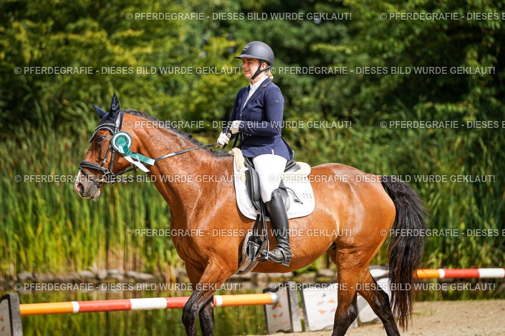 DSC02455 | Pferdegrafie