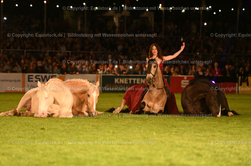 20230526_Pferdenacht_1535 | equistock