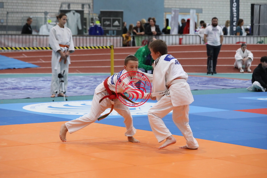 1J7A2373 | Fotos vom Adler Cup - Pictures from Adler Cup

Hier findet Ihr alle Eindrücke und großen Momente der Adler Cup Wochenenden. Here you will find all impressions and great moments of the Adler Cup weekends. - Realisiert mit Pictrs.com