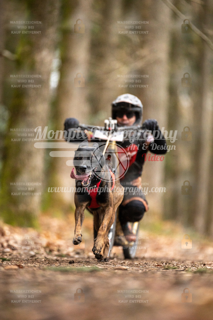 SPA_2023_DIM_Scooter-51 | PayLife