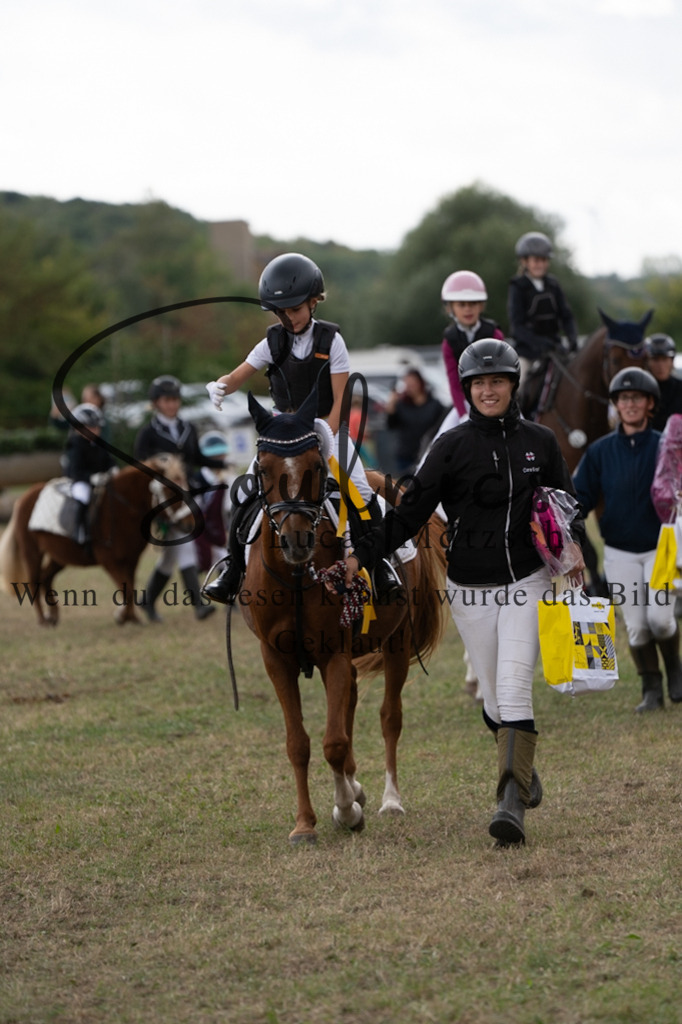 A7V01349 | Pferdefotograf