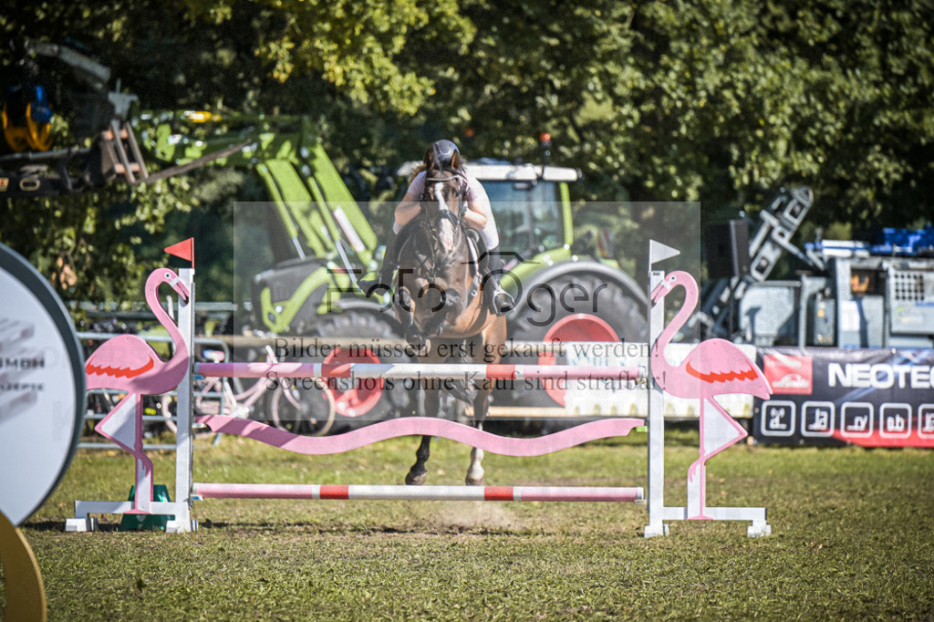 DOS_0350 | Entdecke hochwertige Reitturnierfotos von Foto Oger. Professionell, emotional und authentisch – jetzt Lieblingsmomente im Shop bestellen.Deutschlandweite Turnierfotografie. - Realisiert mit Pictrs.com