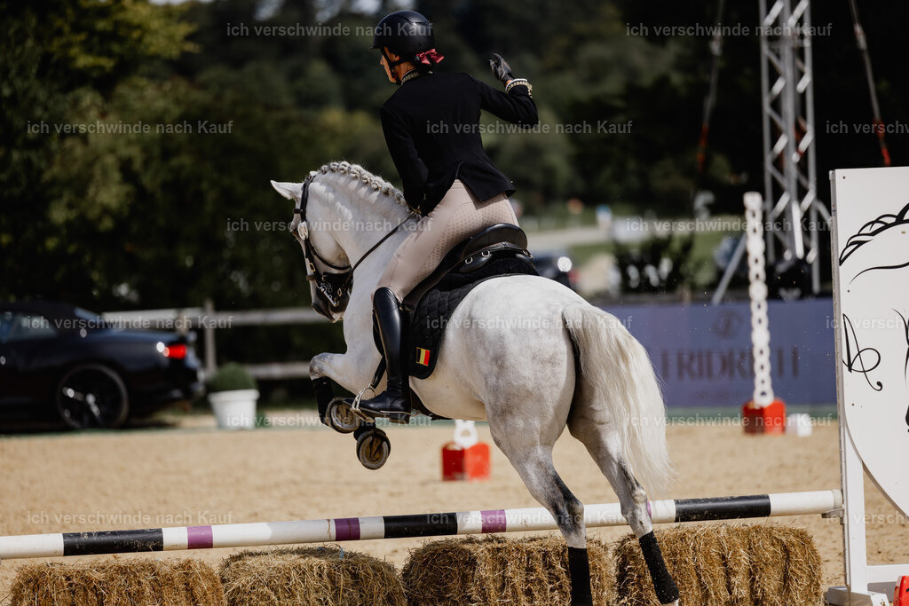 Virginie12FHC2025-20084 | working equitationturnier fotograf videograf stoibphotography marixx film working equitation deutschland reitsport turnierfotografie eventfotografie equestrian events