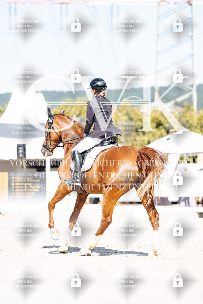 CK908944 | Turnierfotografie Pferdefotografie Trier Rheinland-Pfalz Pferdesport Reitsport Tierfotografie Sportfotografie Pferdevideo Pferdevideografie Equestrianvideography equestrianphotography  - Realisiert mit Pictrs.com