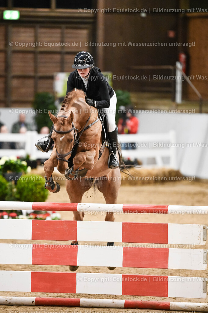 20260307_Hengstvorstellung-Marbach_0152 | equistock