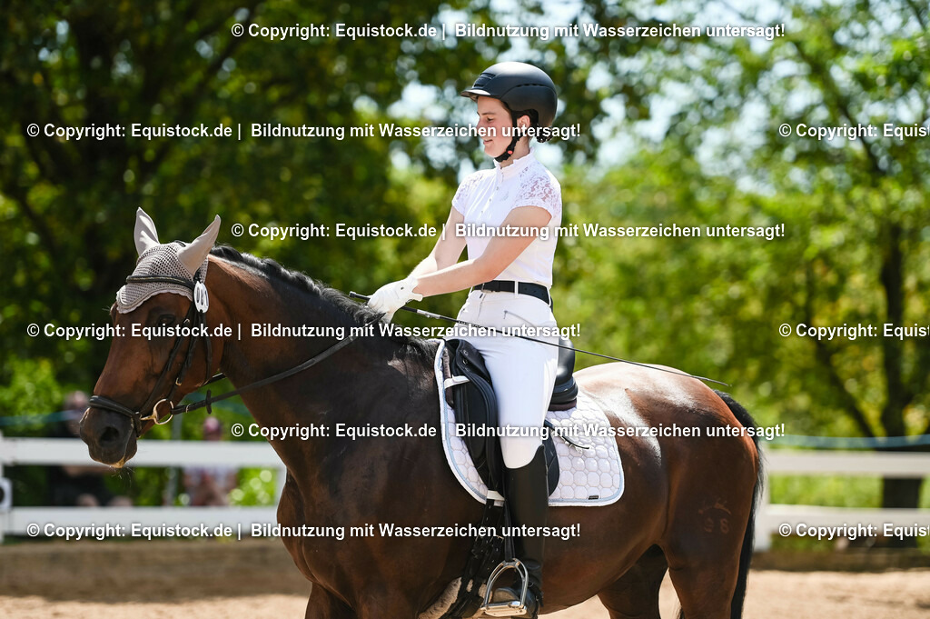20230715_09_Dressur-WB_0240 | equistock