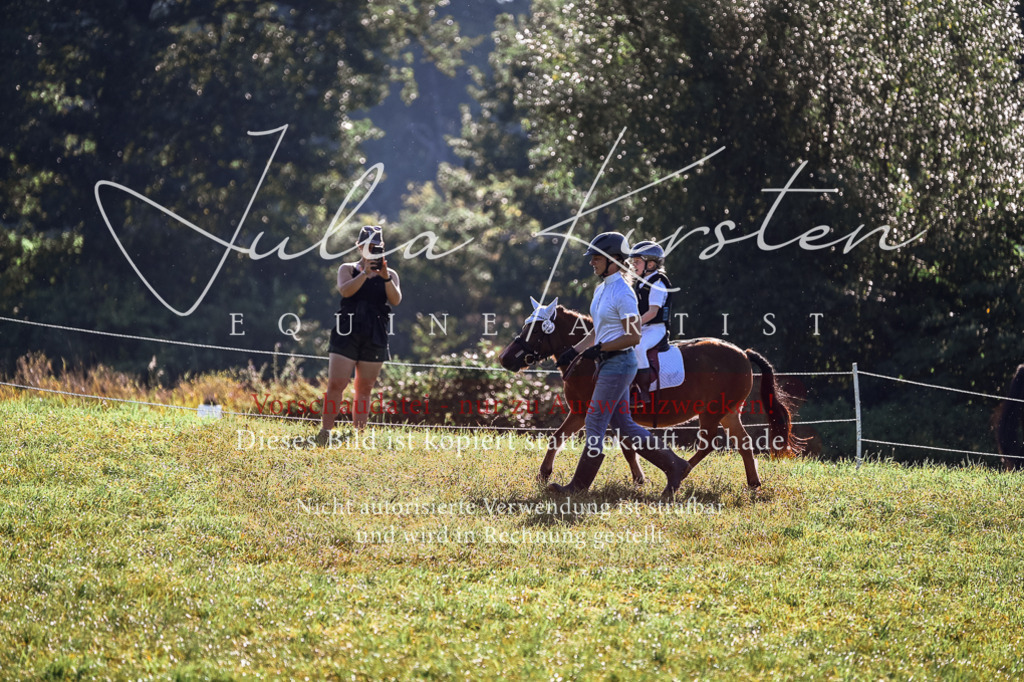 DSC_0469 | Pferde- und Turnierfotografie in Westsachsen. Pferdeportraits, Auftragszeichnungen und intuitive Kunst.