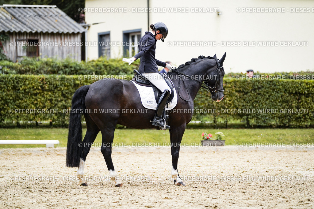 DSC09630 | Pferdegrafie