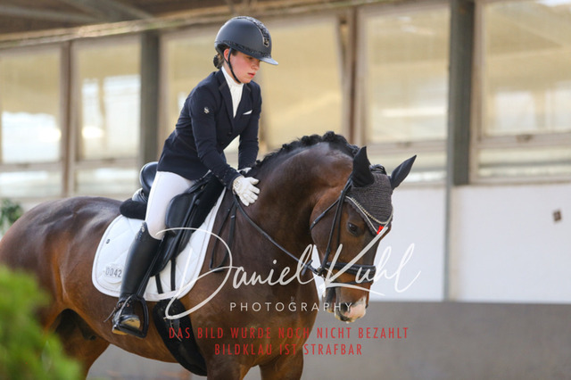 IMG_2644 | Turniersportfotografie; Pferdefotografie; Dressurfotografie