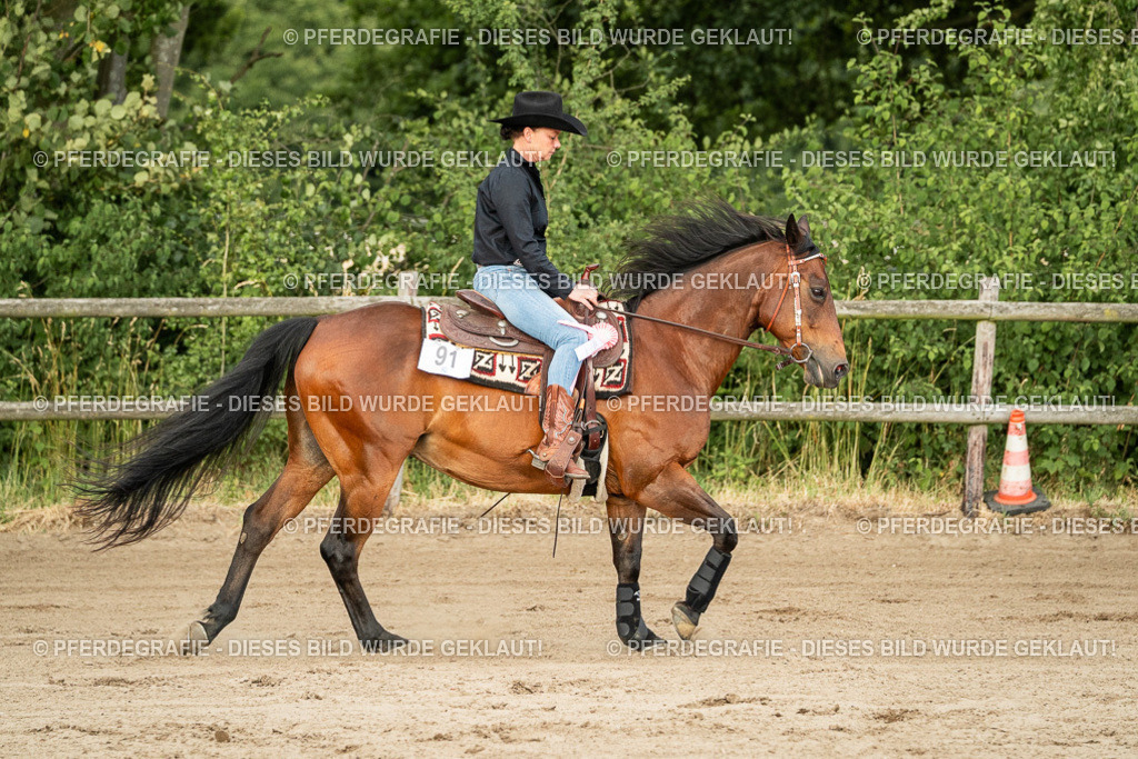 DSC05190 | Pferdegrafie