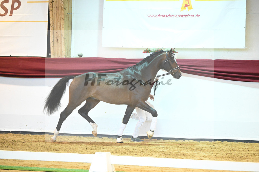 Kat-Nr. 59 v. Zalando_Kuntz_66222204 | hf-fotografie - Realisiert mit Pictrs.com