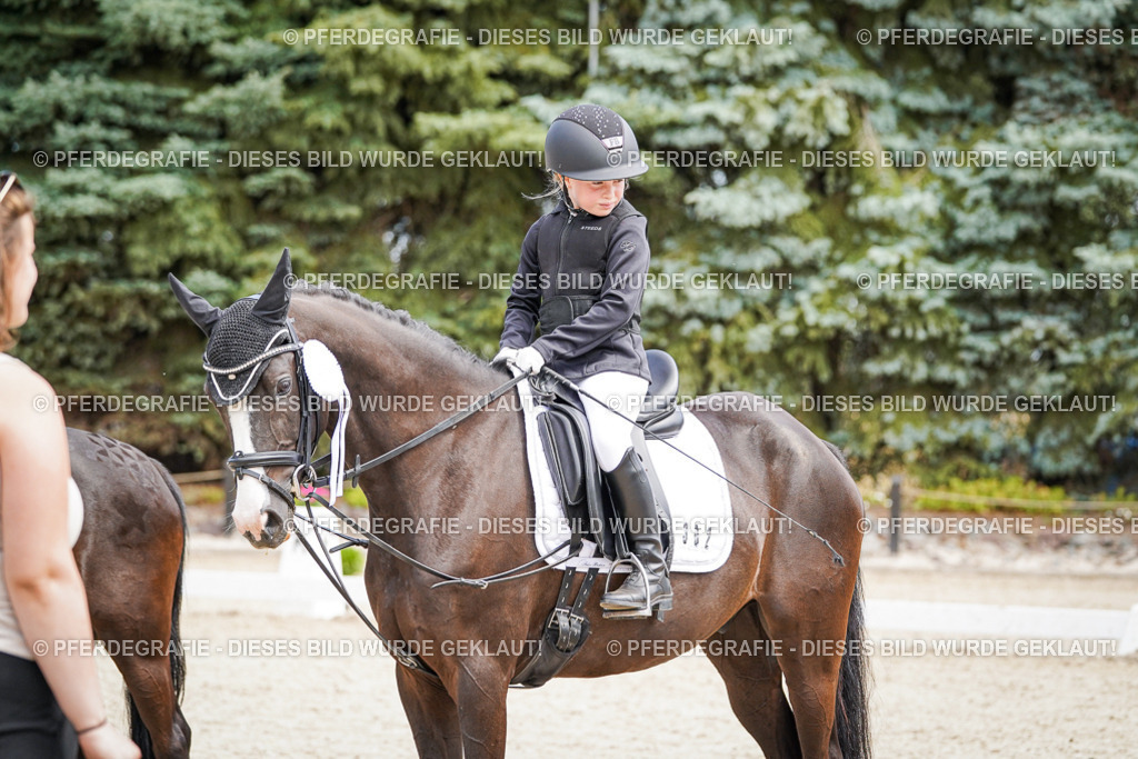 DSC02878 | Pferdegrafie