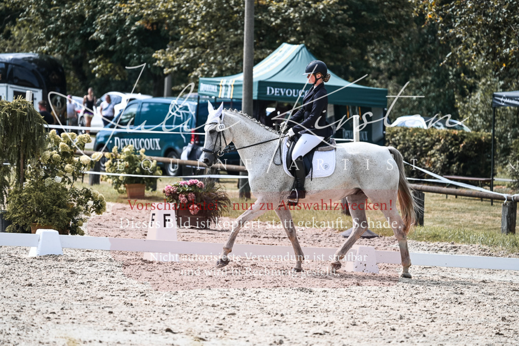 DSC_5292 | Pferde- und Turnierfotografie in Westsachsen. Pferdeportraits, Auftragszeichnungen und intuitive Kunst.