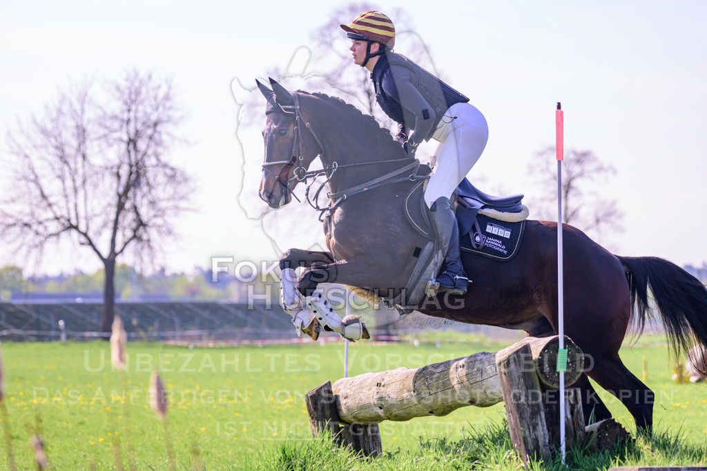18042026-Gernlinden-03-0259 | Fokus Hufschlag Fotografie - Realisiert mit Pictrs.com