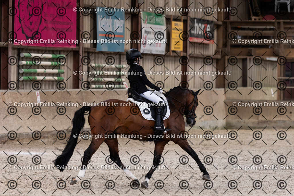 CL5A4120 | Emilia Reinking Fotografie - Realisiert mit Pictrs.com